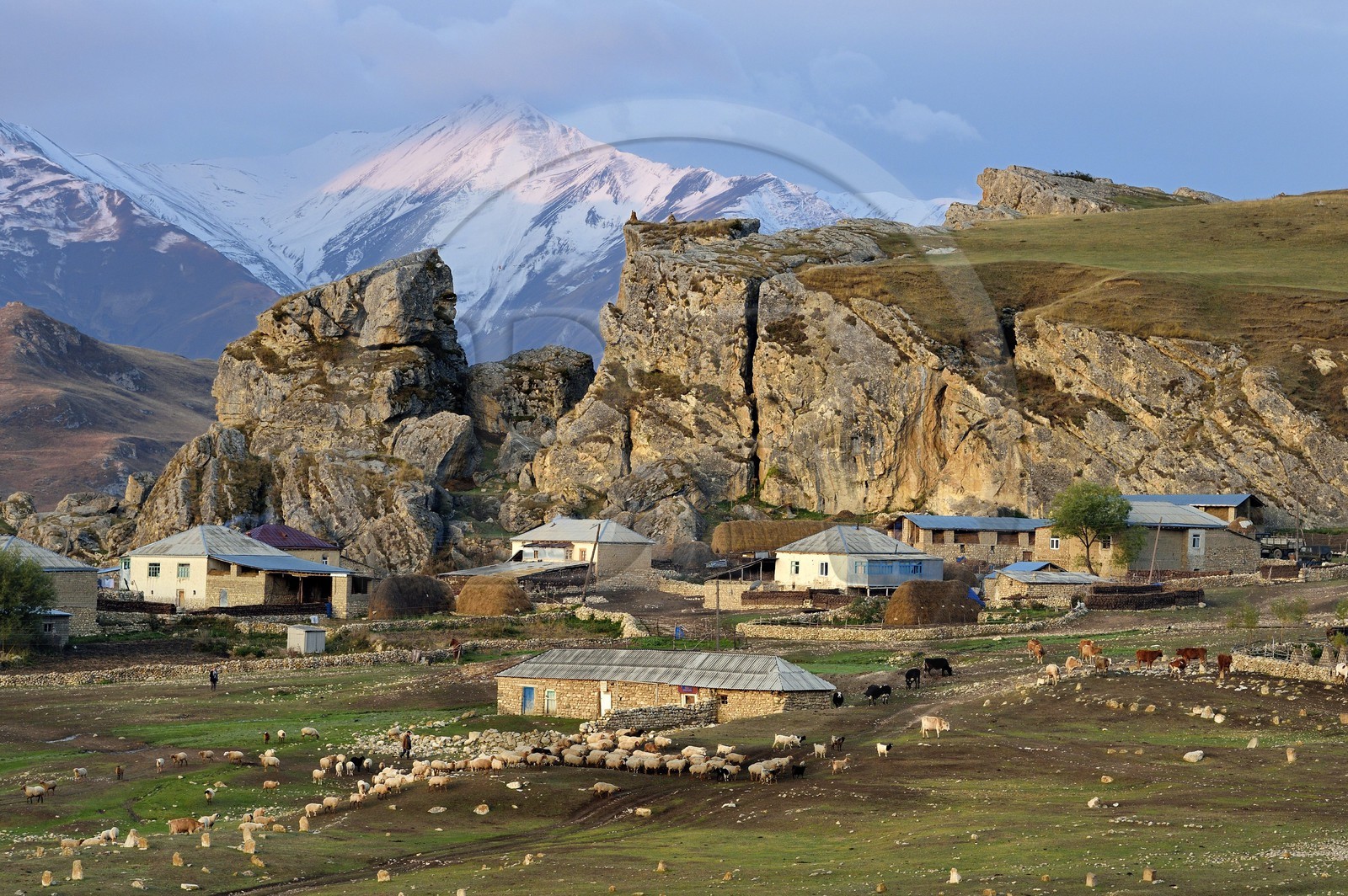 Azerbaïdjan, région de Quba (Guba), chaine de montagne du Grand Caucase, village de Giriz à l'aube, départ des moutons pour les prés