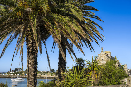 France, Finistère (29), Iles du Ponant, Ile de Batz, le Bourg en bordure de la baie de  Porz-Kernok au petit matin