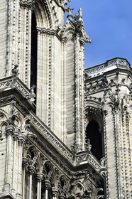 France, Paris, area listed as World Heritage by UNESCO, the banks of the Seine, classified World Heritage by UNESCO, the Notre-Dame Cathedral under the snow on the Ile de la Cité, gargoyles