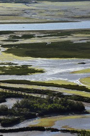 Spain, Basque Country, Biscay Province, Gernika-Lumo region, Urdaibai estuary Biosphere Reserve, estuary of the Oka River at low tide