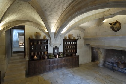 France, Indre-et-Loire (37), château de Chenonceau, les cuisines
