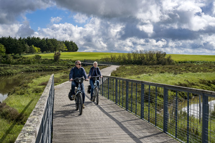 France, Vendée (85), Talmont-Saint-Hilaire, marais de la Guittière dans l'arrière pays de la Pointe du Payré, cycliste sur la piste de la véloroute Vendée Vélo Tour et Vélodyssée au passage du Cul d’Ane, marais aménagés pour la pisciculture de dorades, mulets et anguilles