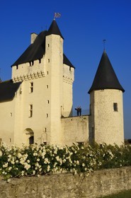 France, Indre et Loire (37), château du Rivau