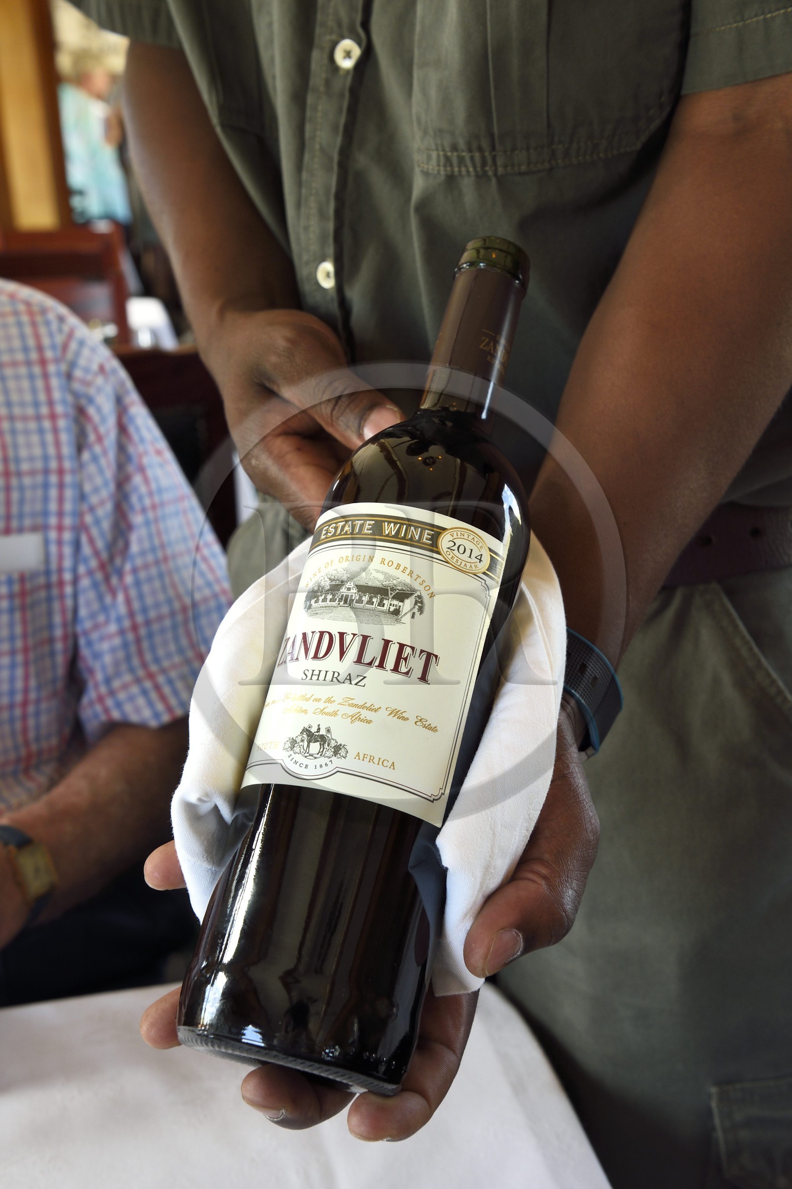 Namibie, région de Erongo, le train Shongololo express, presentation d'un vin Shiraz sud-africain dans la voiture-restaurant