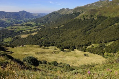 France, Cantal (15), monts du Cantal, Parc Naturel Régional des Volcans d' Auvergne, la vallée de la Jordanne vers Mandaille-Saint-Julien