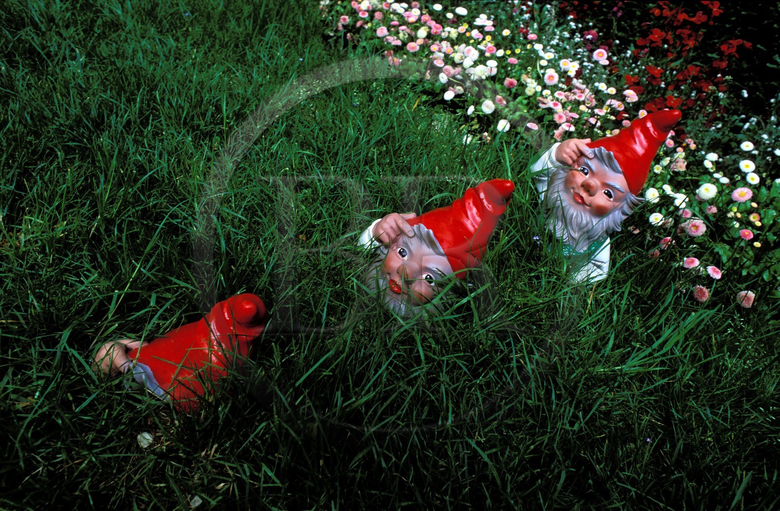 France, Paris (75), jardin de Bagatelle, exposition de nains de jardin