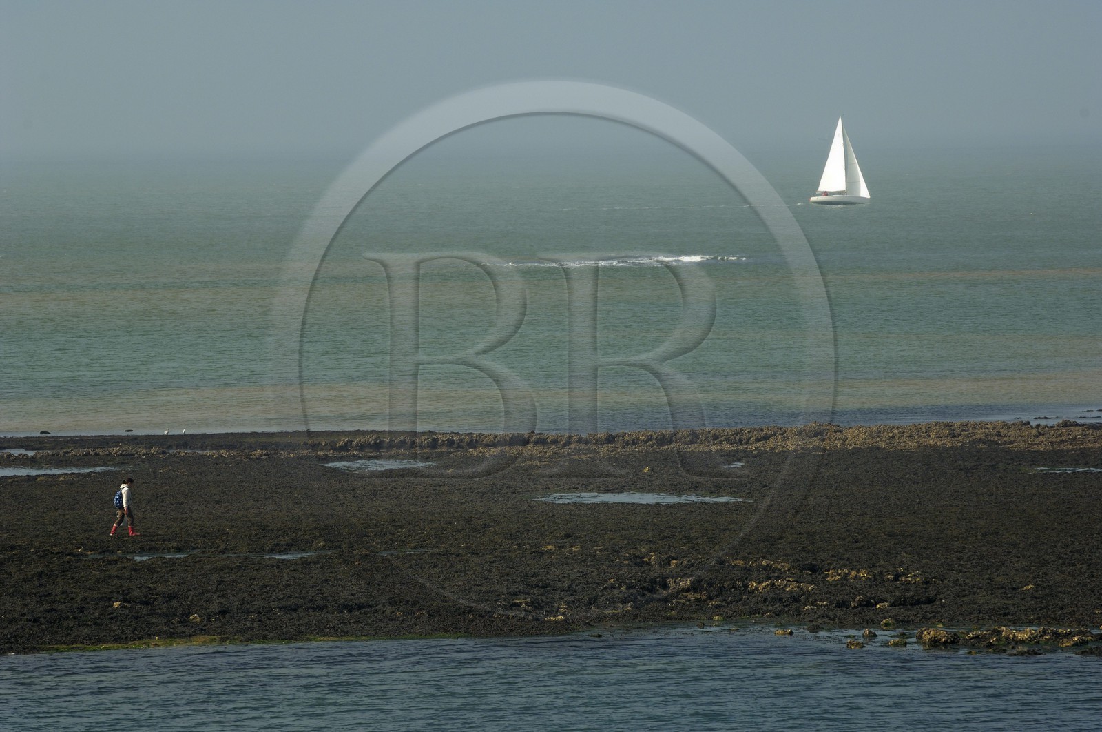 France, Charente-Maritime (17), Ile d'Aix, rade des Basques à marée basse