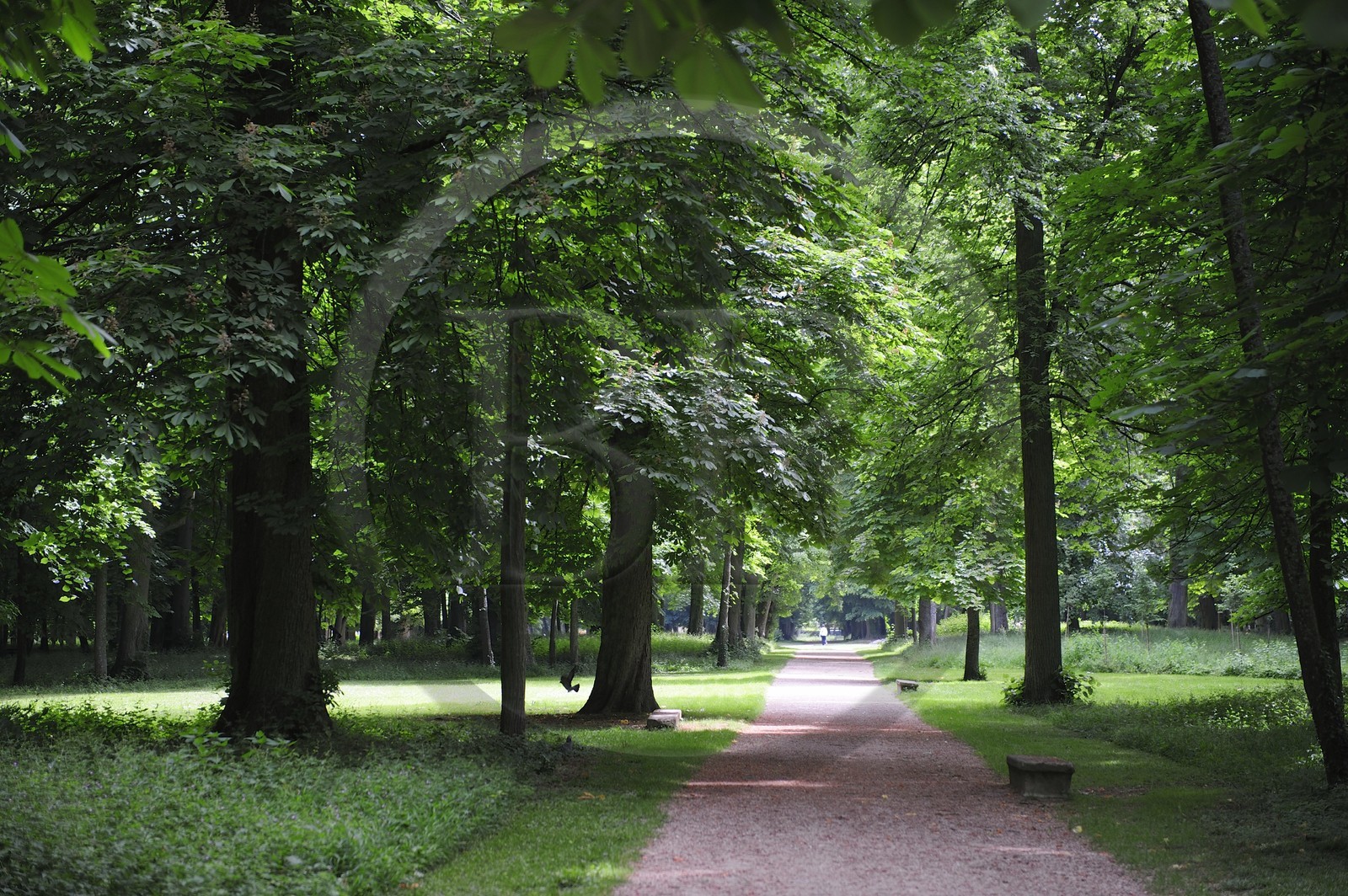 France, Côte d'Or (21), parc de la Colombière