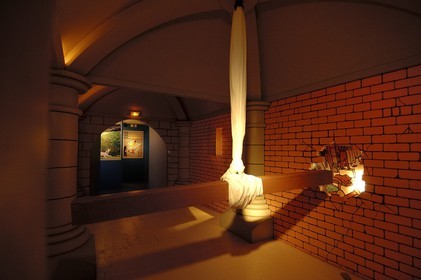 France, Loir-et-Cher (41), château de Cheverny, Exposition permanente de Tintin et les secrets de Moulinsart