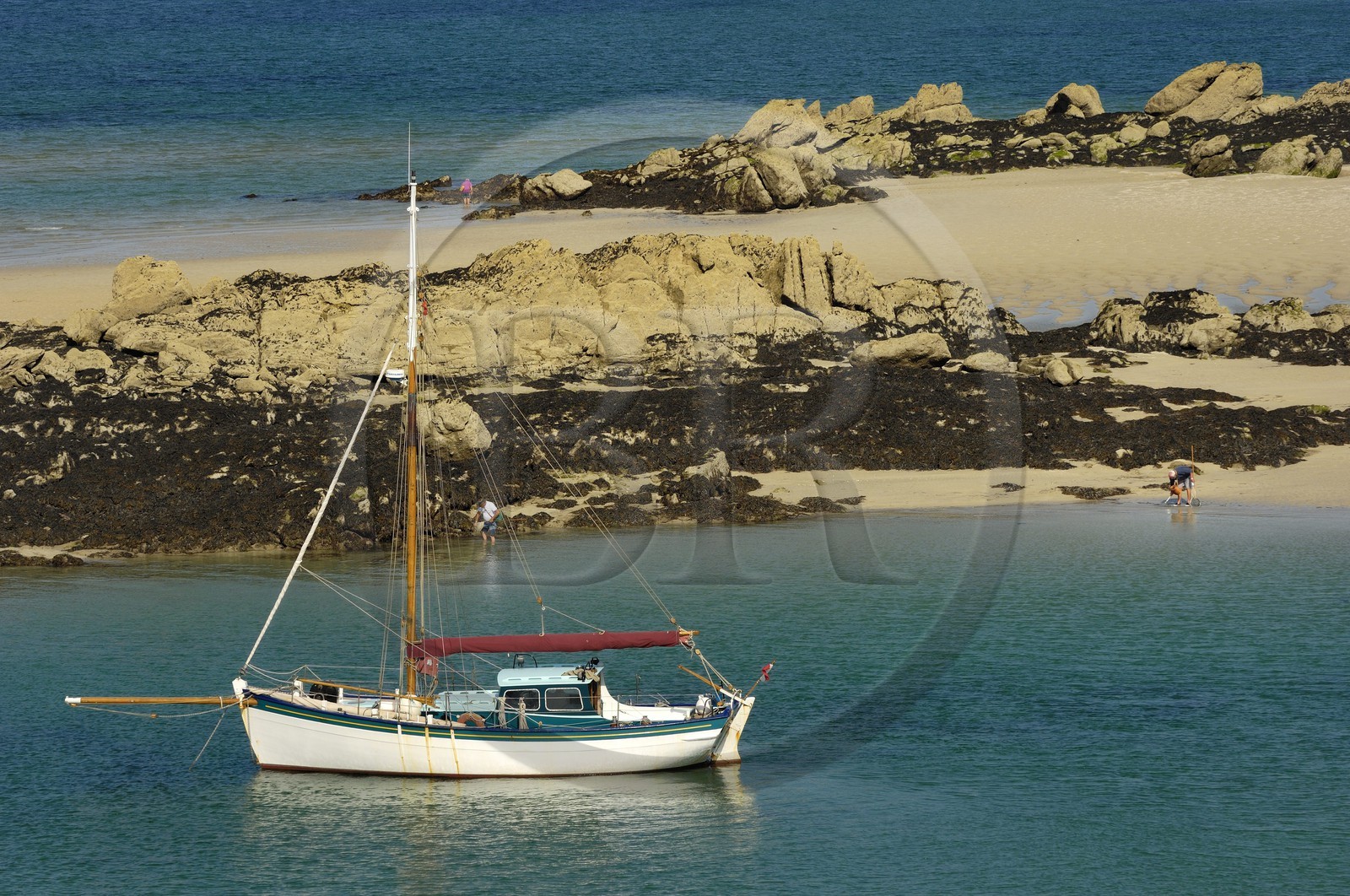 France, Manche (50), archipel des îles Chausey, le Courrier des Iles dessiné par le peintre de la marine Marin Marie