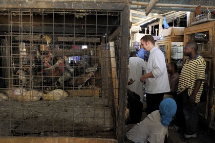 Tanzanie, Dar es Salaam