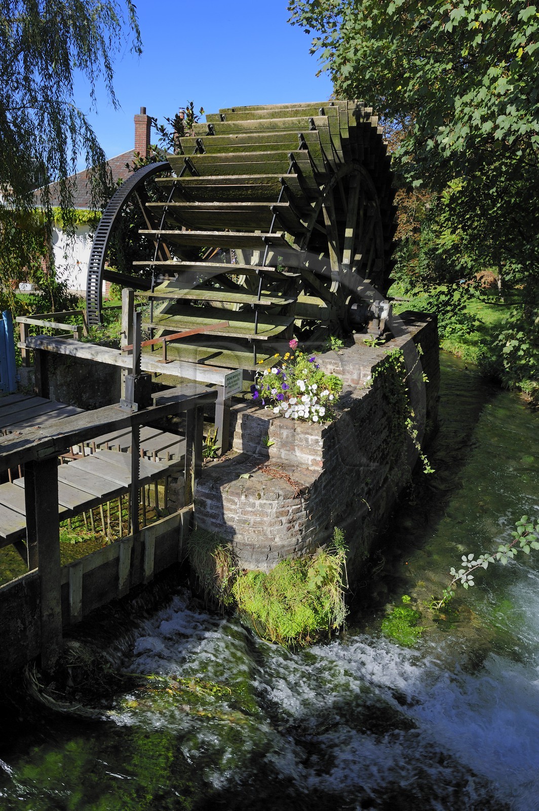 France, Seine-Maritime (76), Veules-les-Roses, ruine d'un ancien moulin à eau sur la Veules, fleuve célèbre pour la faible longueur de son cours (1 100 m)