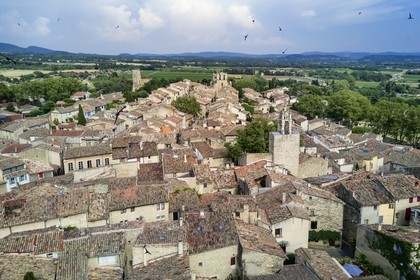 France, Vaucluse, Parc Naturel Regional du Luberon (Natural Regional Park of Luberon), Cucuron, labelled Les Plus Beaux Villages de France (The Most Beautiful Villages of France), the clock tower and Common Swift (Apus apus) flying
