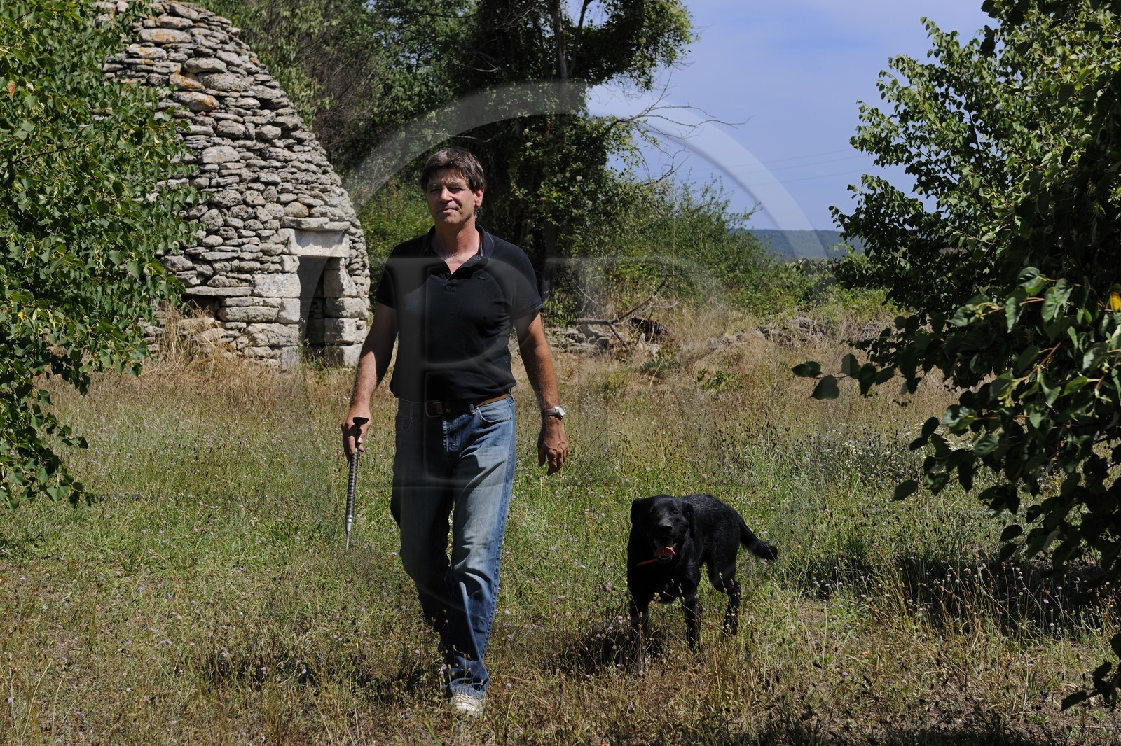 France, Gard, region of the Pays d'Uzege, Uzes, Michel Tournayre creator of the “Truffières du Soleil” on his truffle plantation with one of his truffle dog