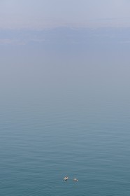 Israel, Southern District, Ein Gedi Beach on the Dead Sea