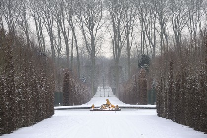 France, Yvelines, snow covered park of the Chateau de Versailles, listed as World Heritage by UNESCO, flora basin in winter also called the spring basin in Winter