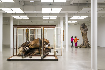 France, Hérault (34), Montpellier, le MO.CO. (Montpellier Contemporain) dans l'ancien Hotel Montcalm, exposition Piller Ekphrasis de l'artiste Berlinde De Bruyckere rassemble une cinquantaine d’œuvres réalisées entre 1999 et 2022