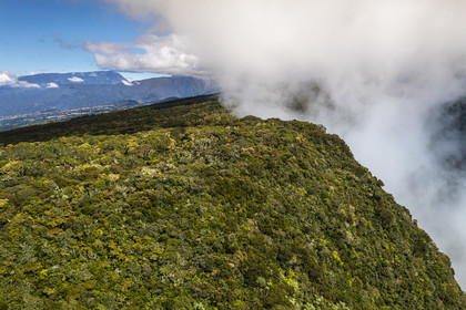 France, Ile de la Reunion, Parc National de la Réunion classé Patrimoine Mondial de l'UNESCO, volcan du Piton de la Fournaise, Foret des Hauts de Mont-Vert au dessus de la vallée de la Rivière des Remparts (vue aérienne)