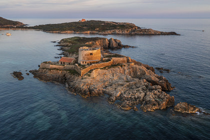 France, Var, Iles d'Hyeres, Parc National de Port Cros (National park of Port Cros), Porquerolles island, the 17th century Fort du Petit Langoustier on its island and Porquerolles in the background (aerial view)