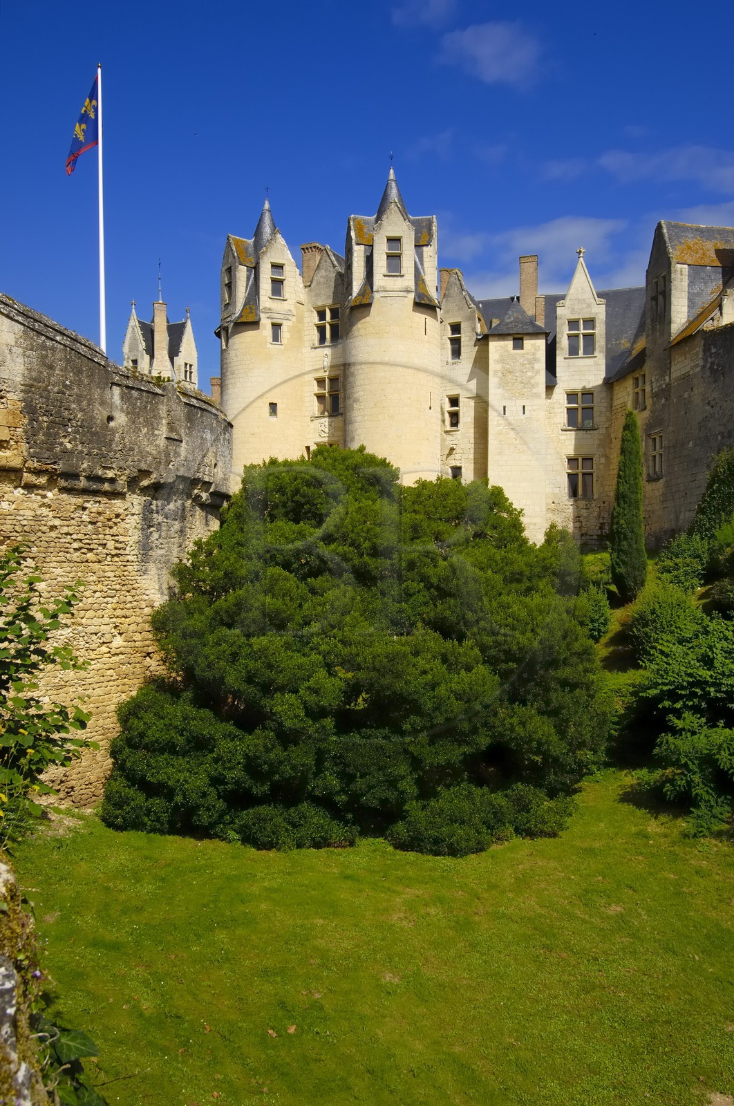France, Maine et Loire (49), château de Montreuil-Bellay