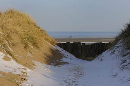 France, Manche, Cotentin, Sainte Marie du Mont, Utah Beach where took place the main American landing of D day, dunes and beach