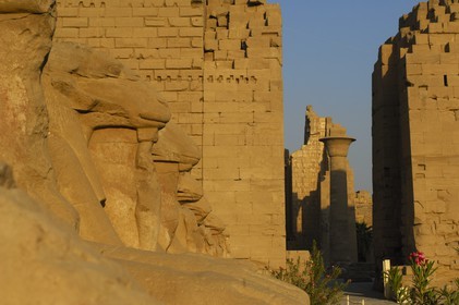 Egypte, Haute Egypte, vallée du Nil, Louxor, Karnak, classé Patrimoine Mondial de l'UNESCO, allée des sphinx et colonne du kiosque de Taharqa