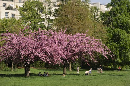 France, Paris (75), le Bois de Boulogne