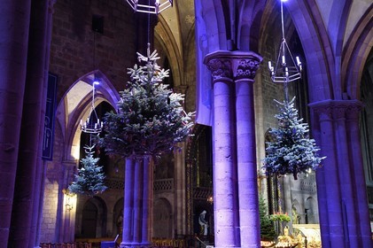 France, Bas Rhin, Strasbourg, Selestat, the fir trees suspended under the arches of the nave of the Saint-Georges church are traditionally decorated with apples, bredele, balls taking into account an evolution over time