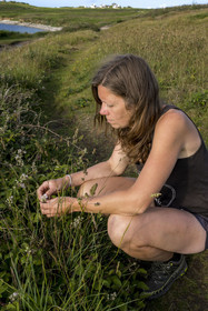 France, Finistère (29), Mer d'Iroise, Ile d'Ouessant, Baie de Lampaul, Porz Goret, Gwenaëlle Héré-Mazé de Melus Moudez qui relie herboristerie et cuisine sauvage
