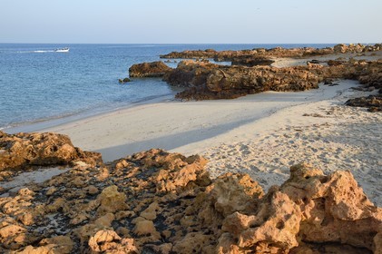Sultanate of Oman, Ash Sharqiyah South Governorate, Ras al Hadd, Turtle Beach Resort beach