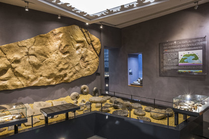 France, Aveyron, Millau, Millau and Grands Causses museum housed in the Hotel de Pegayrolles, dinosaur footprints on the reproduction of the Dalle de Peyre hanging on the wall