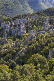 France, Aveyron, Causses and the Cevennes, cultural landscape of Mediterranean agro-pastoralism, listed as World heritage by UNESCO, Causse Noir, La Roque Sainte Marguerite, chaos of Montpellier-le-Vieux, the Cité de Pierres (City of Stones)