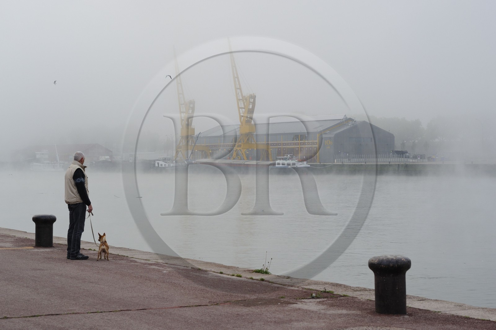 France, Seine-Maritime (76), Rouen, les anciens docks sur les quais de Seine, les grues par temps de brouillard