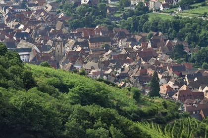 France, Haut Rhin, the Alsace Wine Route, Ribeauville