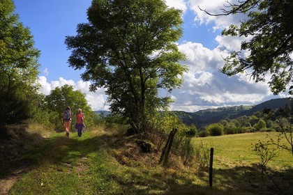 France, Haute Loire, Le Cros de Lafarre, hikers on a path on the Vivarais-Vellave plateau overlooking the Loire river Valley