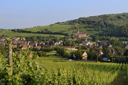 France, Bas Rhin, the Alsace Wine Route, Andlau, the Saint Andre chapel and the vineyard