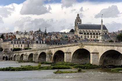 France, Loir et Cher (41), Blois, la vieille ville et la cathédrale au bord de la Loire