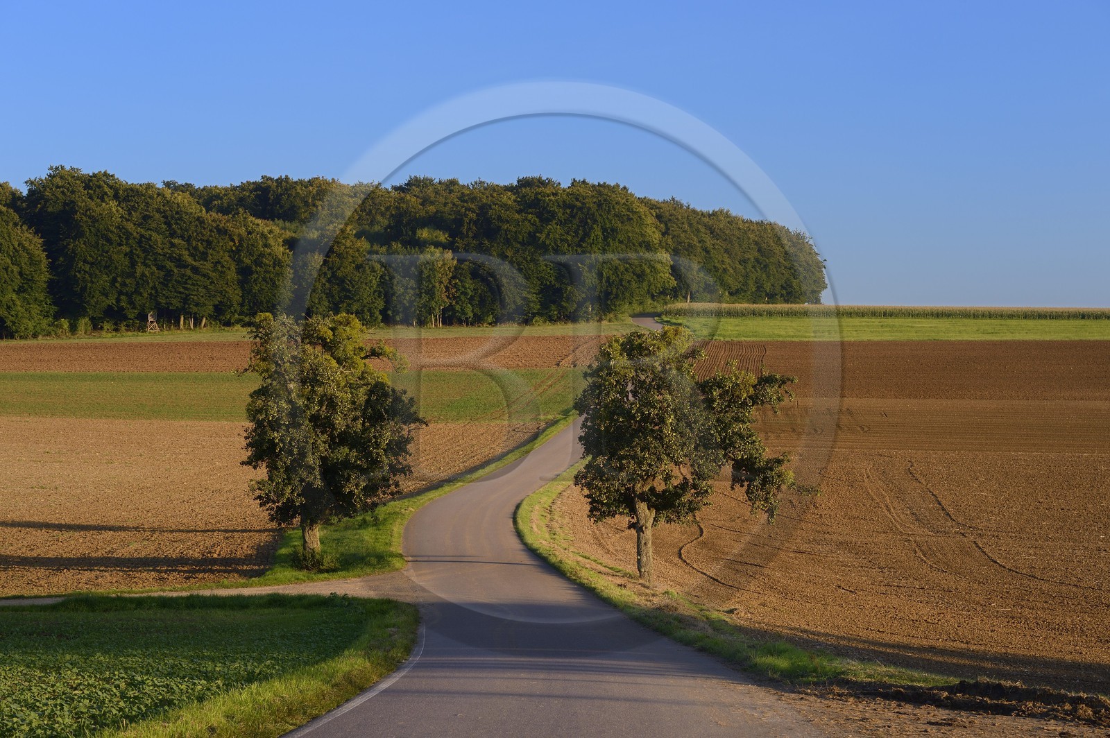 Allemagne, Sarre, région de la Moselle vers Sinz, route de campagne au carrefour des trois frontières Luxembourg, France et Allemagne