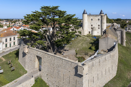 France, Vendée (85), Ile de Noirmoutier, Noirmoutier-en-l'Ile, le chateau médiéval (vue aérienne)
