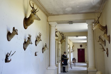 France, Charente-Maritime, Saintonge, Port-d'Envaux, Chateau de Panloy, the hunting gallery with the trophies