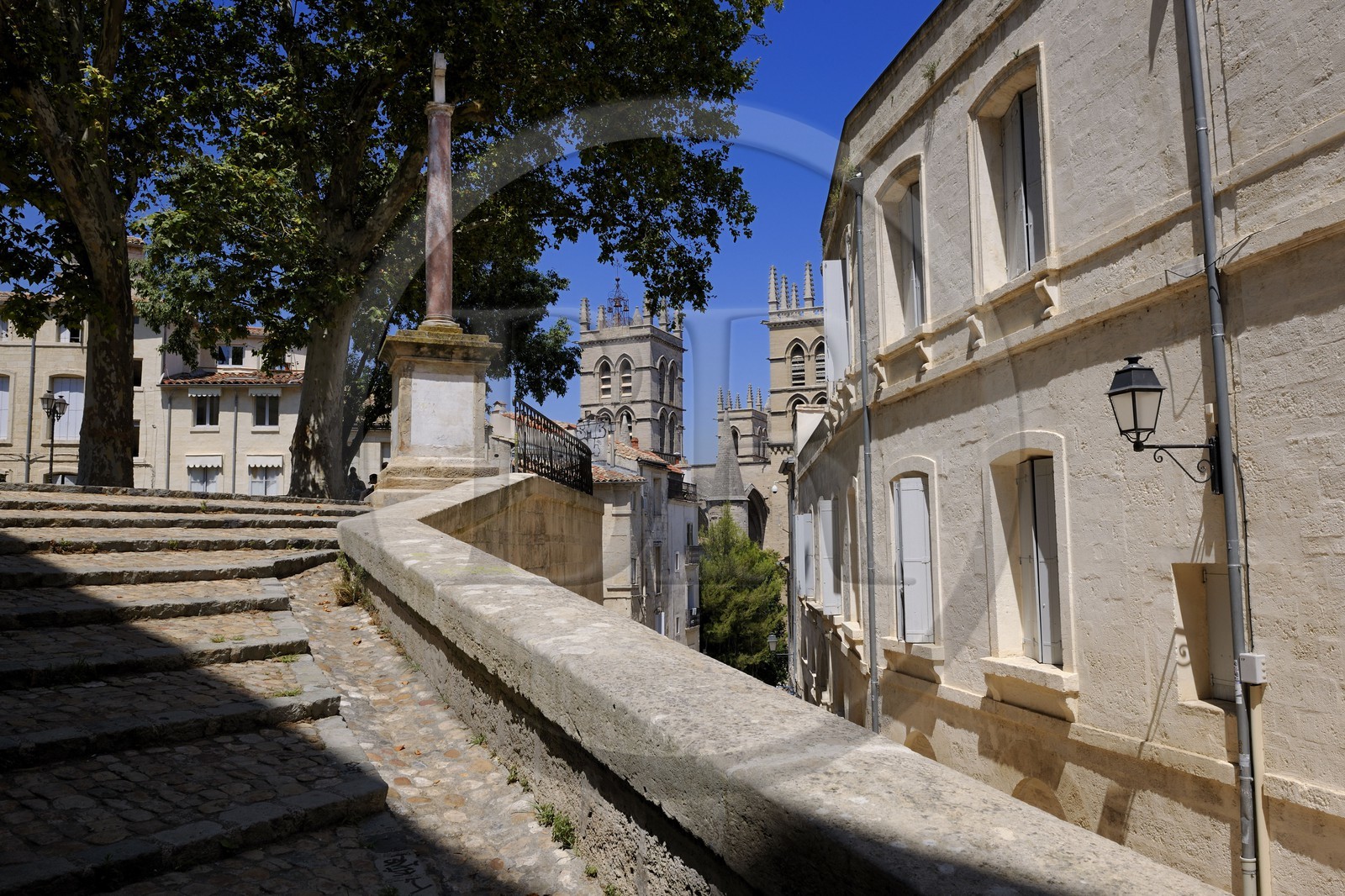 France, Herault, Montpellier, historical center, the Ecusson, the Canourgue square and the Saint Pierre cathedral in the back