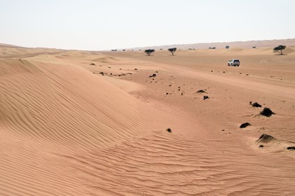 Sultanate of Oman, governorate of Ash Sharqiyah, desert of Wahiba Sands or Sharqiya Sands, 4x4 on the track that slaloms between the sand dunes