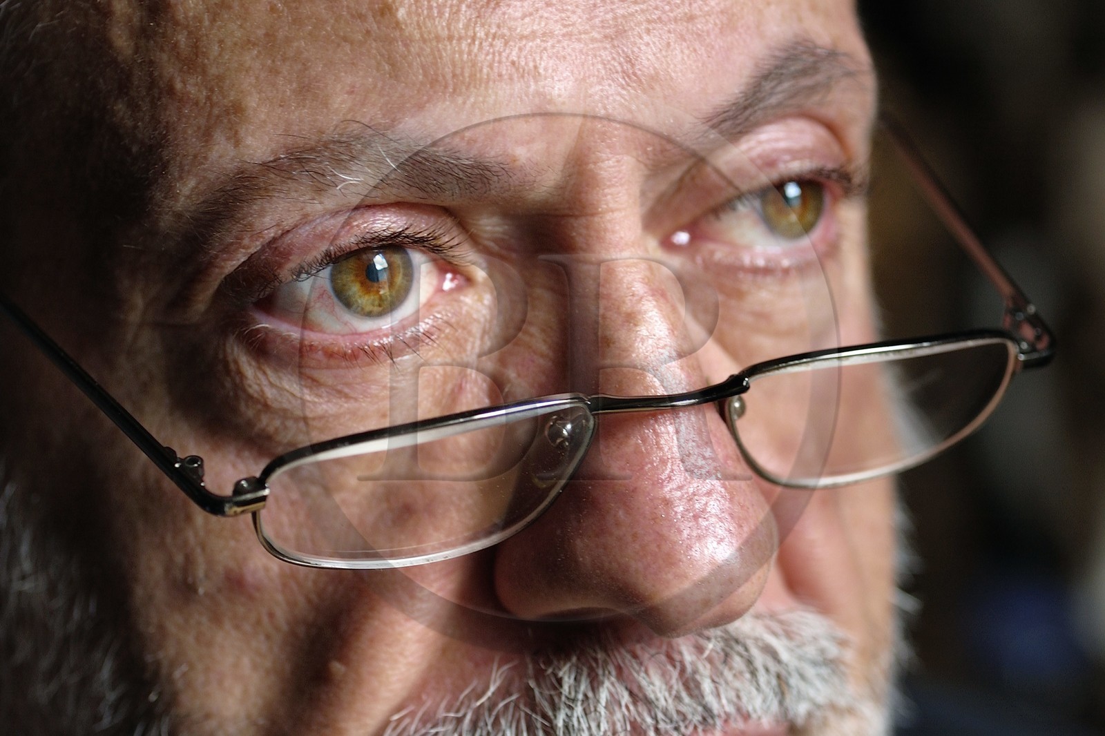 France, l'artiste Michel Nedjar