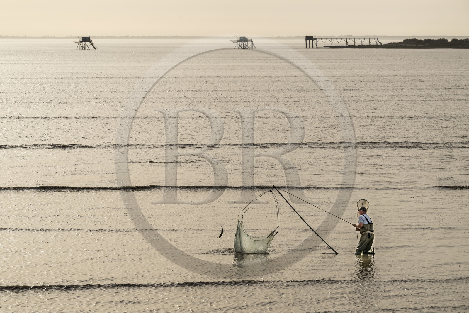France, Charente-Maritime (17), Port-des-Barques, pêcheur au carrelet essayant de prendre un mulet (poisson) et cabanes sur pilotis appelées carrelets en arrière plan