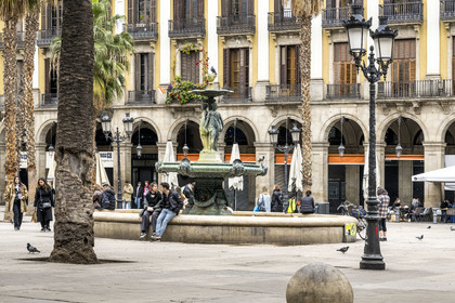 Espagne, Catalogne, Barcelone, quartier Barrio Gotico (quartier Gothique), près de las Ramblas, la Placa Reial (Place Royale)