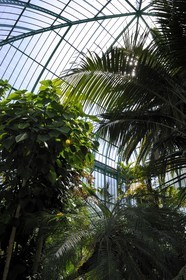 France, Paris (75),  Jardin des Serres d'Auteuil, la grande serre