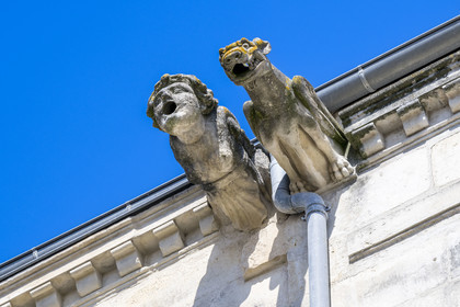 France, Charente Maritime, La Rochelle, gargoyles on top of buildings on rue Chef de Ville