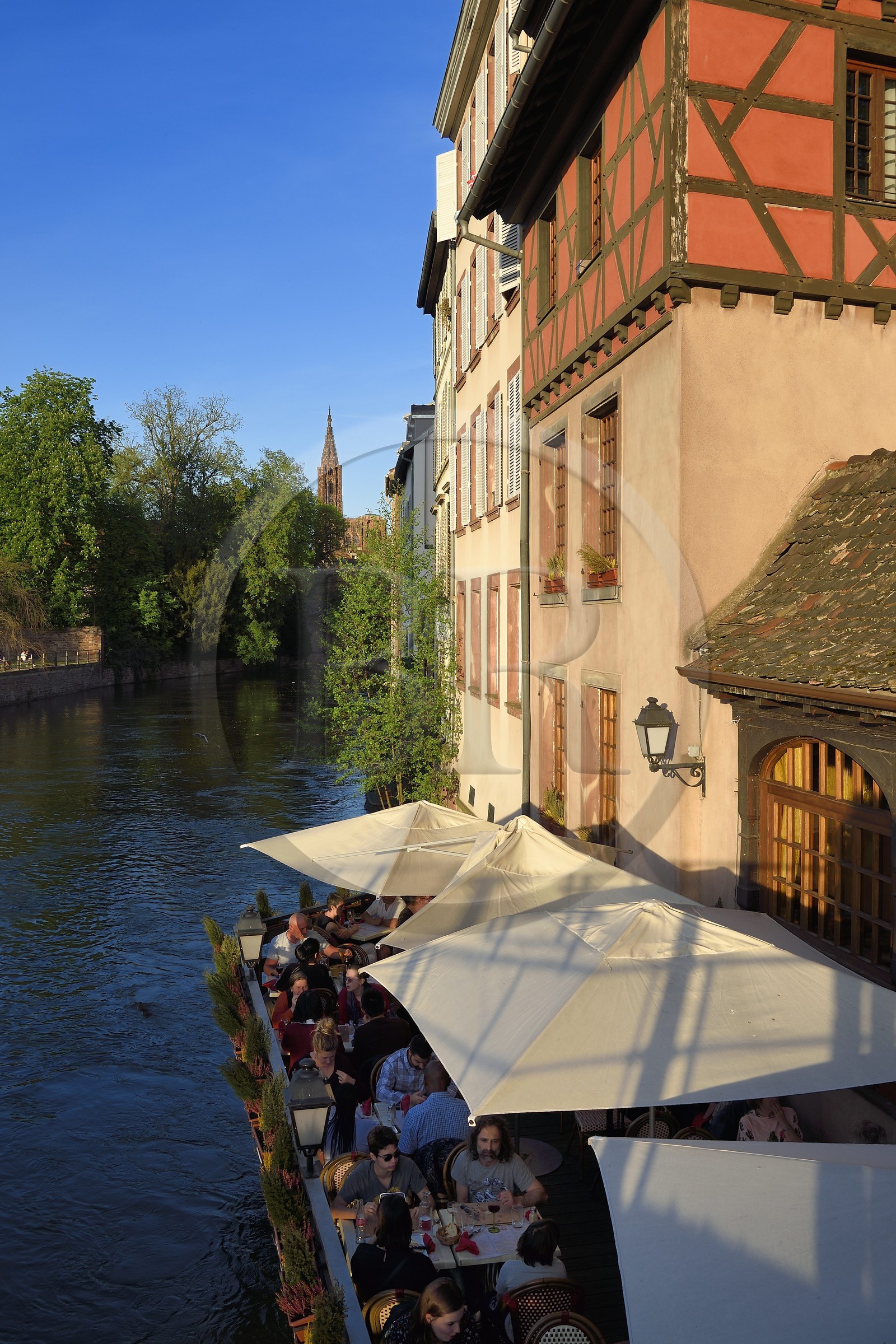 France, Bas-Rhin (67), Strasbourg, vieille ville classée au Patrimoine Mondial de l'UNESCO, quartier de la Petite France, terrasse de restaurant sur un bras de l'Ill, la cathédrale Notre Dame en arrière plan