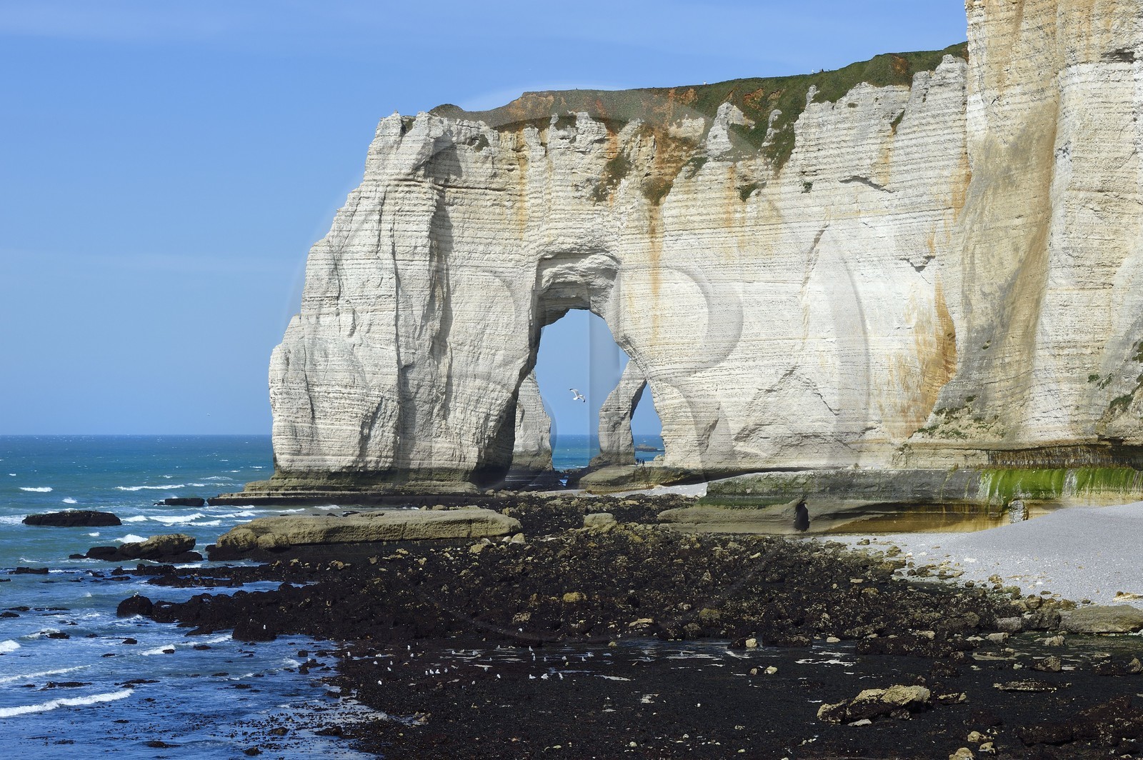 France, Seine-Maritime (76), Pays de Caux, Côte d'Albâtre, Etretat, la Manneporte vue depuis la pointe de la Courtine à marée basse
