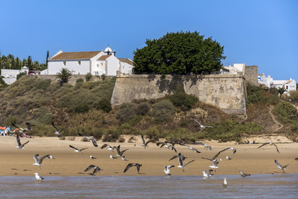 Portugal, Algarve, Ria Formosa Nature Park, Tavira, fortress of the village of Cacela Velha